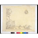 Design for a rococo ceiling (Design)