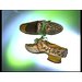 Pair of shoes
