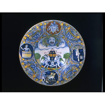 Dish