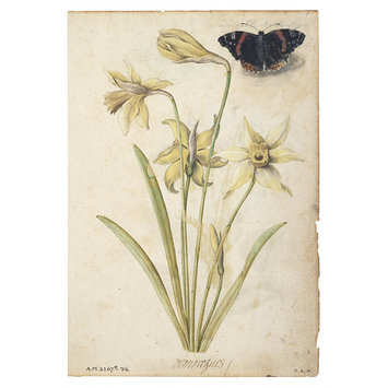 Watercolour - Daffodils and a Red Admiral Butterfly Watercolour - Daffodils and a Red Admiral Butterfly