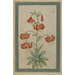 Painting - a martagon lily