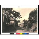 Mosque (Musjid) of Nuttur Auleah (Photograph) Mosque (Musjid) of Nuttur Auleah (Photograph)