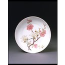 Saucer