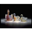Flower holder - Swan