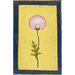 Painting - a flower study