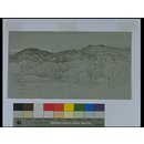 A wooded hillside at Underriver, near Sevenoaks, Kent (Drawing)