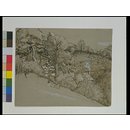 The Primitive Cottage (Drawing)