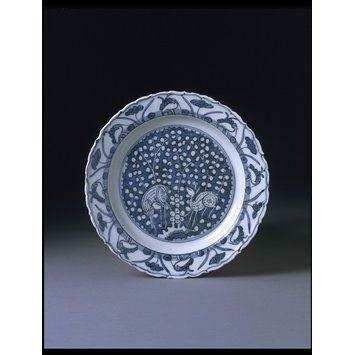 Dish Dish