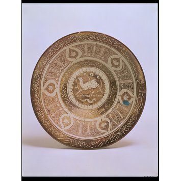 Dish