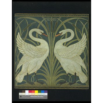 Design for wallpaper - Swan, Rush and Iris