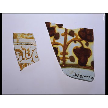 Fragment of a beaker or bowl