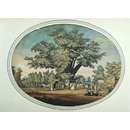 Fairlop Oak and Fairlop Fair; Fairlop Castle and Fairlop Fair (Watercolour) Fairlop Oak and Fairlop Fair; Fairlop Castle and Fairlop Fair (Watercolour)