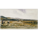 A Harvest Field (Watercolour) A Harvest Field (Watercolour)