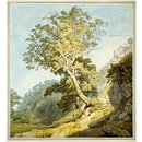 View near Canonteign, Devon (Watercolour)