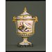 Vase and cover