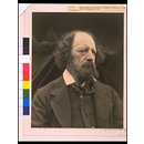 A. Tennyson; Alfred Tennyson (Photograph) A. Tennyson; Alfred Tennyson (Photograph)