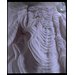 Dress - Seashell