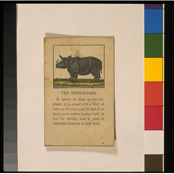 Card game - The Good Child's Cabinet of Natural History Card game - The Good Child's Cabinet of Natural History