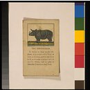 The Good Child's Cabinet of Natural History (Card game) The Good Child's Cabinet of Natural History (Card game)