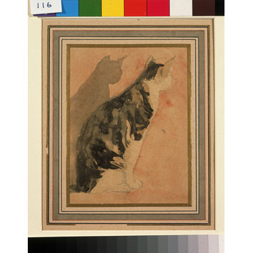 Watercolour - Sketch of a seated cat Watercolour - Sketch of a seated cat