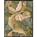 Acanthus (Wallpaper) Acanthus (Wallpaper)