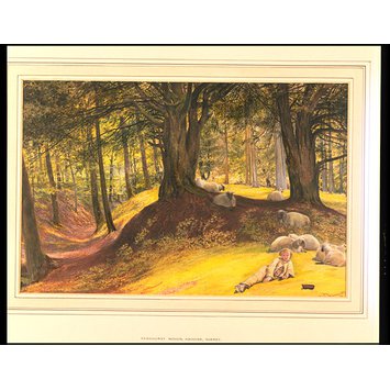 Watercolour - Parkhurst Woods, Abinger, Surrey Watercolour - Parkhurst Woods, Abinger, Surrey