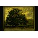 Oil painting - A Tree in Fontainebleau Forest; Arbre solitaire