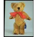 Teddy bear