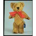 Teddy bear