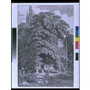 Print, Pen lithograph - Gothic church behind a grove of oaks