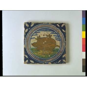 Tile Tile