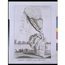Chloe's Cushion; The Cork Rump (Print) Chloe's Cushion; The Cork Rump (Print)