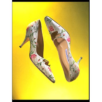 Pair of evening shoes