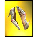 Pair of evening shoes