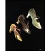 Pair of shoes