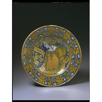 Dish