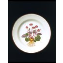 Plate Plate
