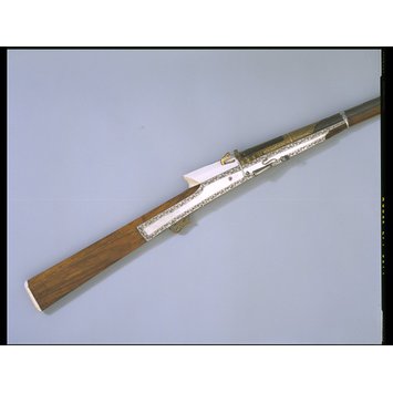 Firearm Firearm