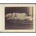 Photograph - My grand child aged 2 years & 3 months; Child Sleeping