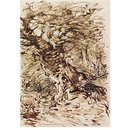 Jaques and the wounded stag (Drawing)