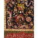 Carpet - The Salting Carpet