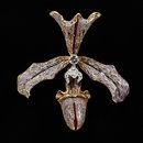Hair ornament