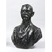 Bust - Thomas F. Ryan