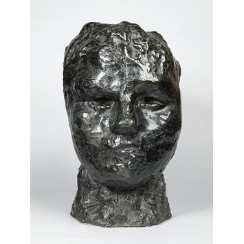Head - Head of Iris Head - Head of Iris