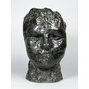Head - Head of Iris