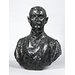 Bust - Thomas F. Ryan