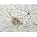 Print - Meteorite Misses Waco, Texas; Meteorite Lands in the Middle of Nowhere: The American Series