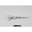 Fish slice Fish slice
