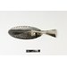 Fish slice