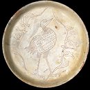 Dish